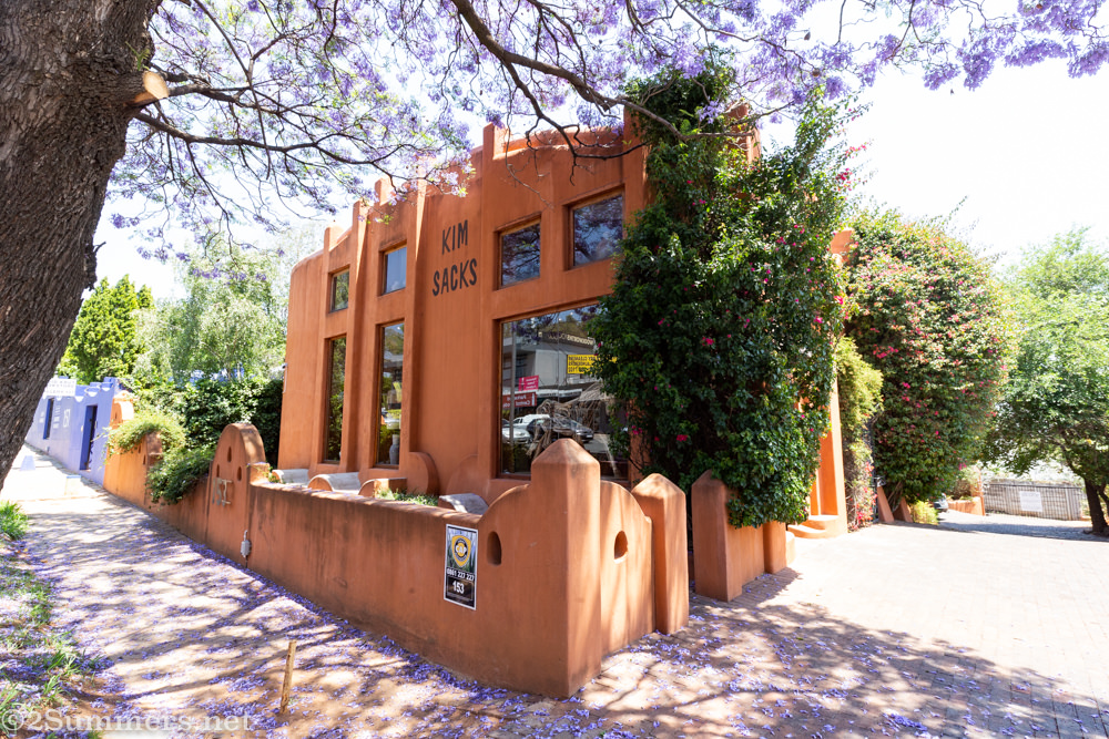 Kim Sacks Gallery in Rosebank