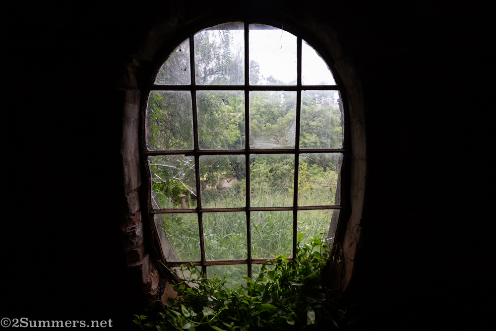 Misty window on Rose Rd