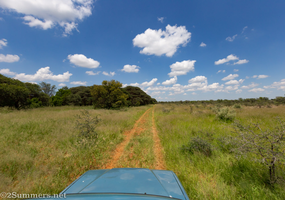 View of Kameel Bult from the back of a bakkie