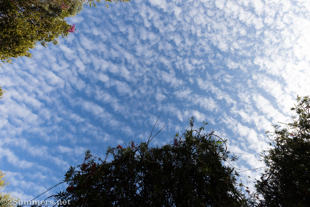 Looking up at the sky on Day 1 of lockdown in Johannesburg