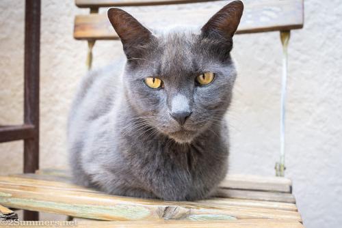 2Summers Logo Featured Post