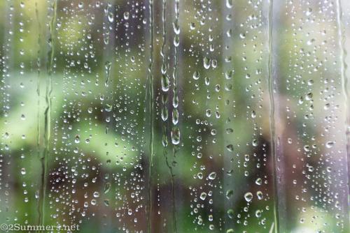 Rainy window