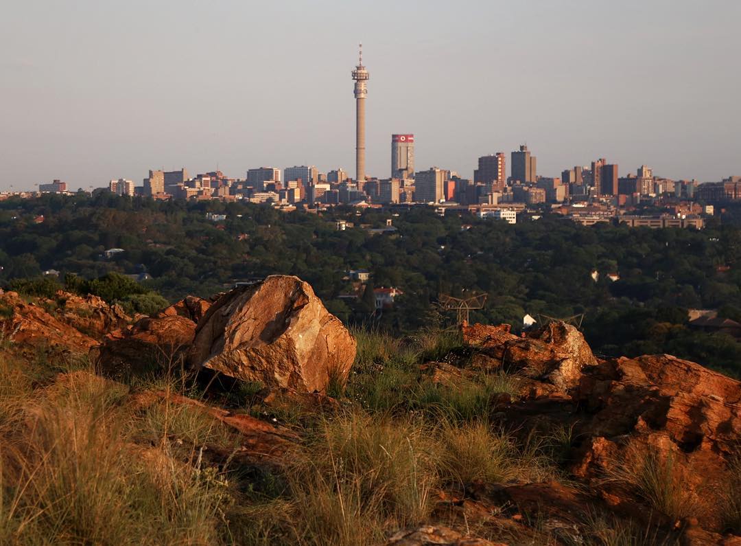 Melville Koppies 2016