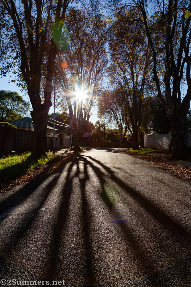 Shadows on the street