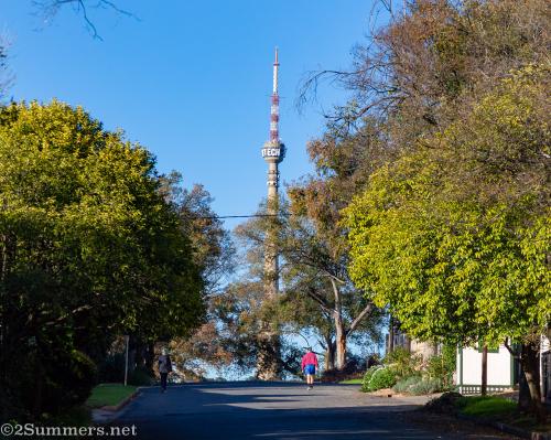 People walking outside in Melville