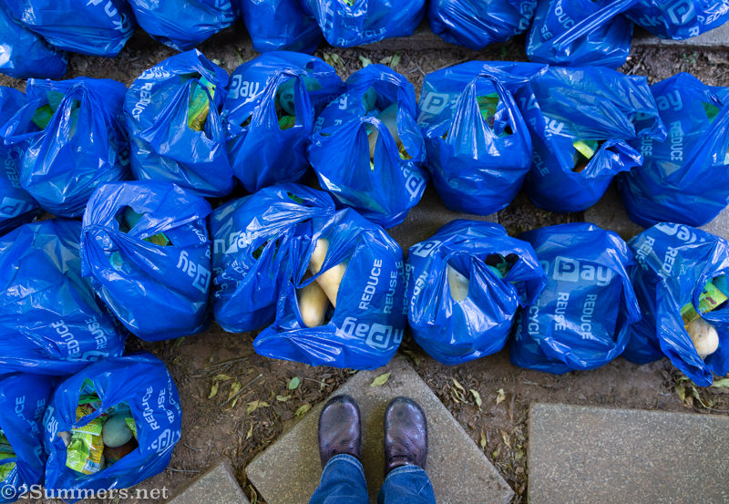 Food parcels ready to distribute
