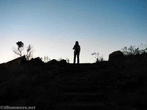 Heather on koppies 2011