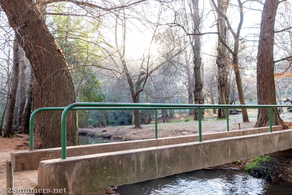 Bridge in Emmarentia