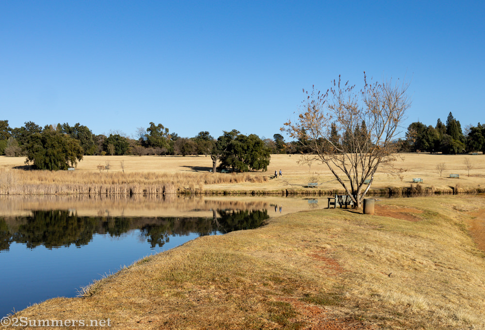 Dog park section of Emmarentia Dam