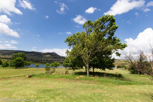Green and blue wonderland at Walkersons