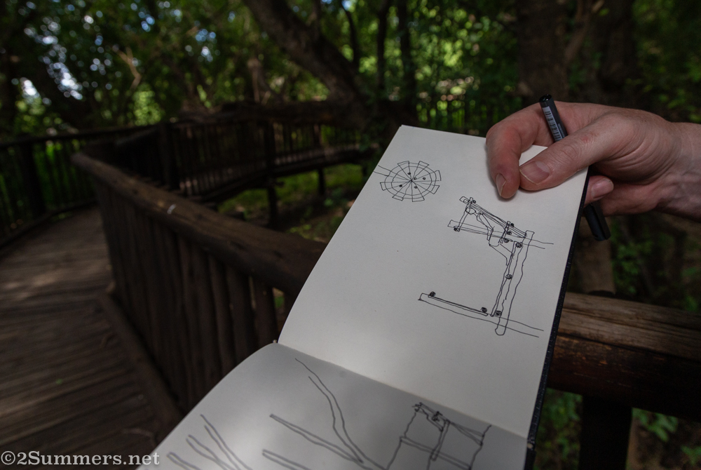 Seat under the tree sketch