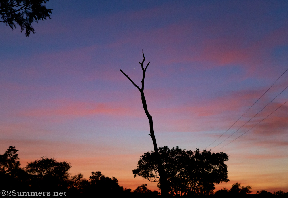 Sunrise on New Years Day
