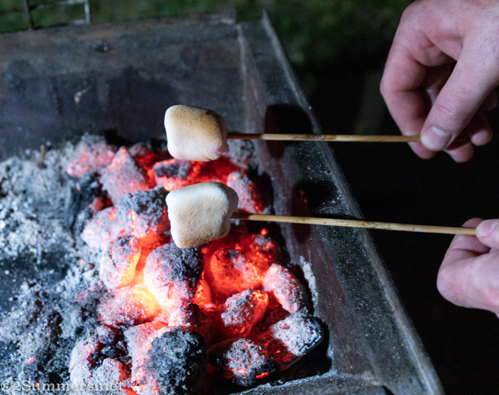 Toasting marshmallows