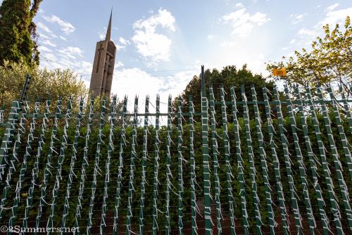 Ribbons representing covid-19 deaths on the fence outside St. James Presbyterian Church
