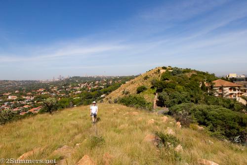 Walking the Harvey Nature Reserve on Linksfield Ridge