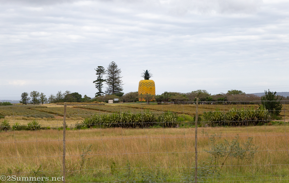 The Big Pineapple from a distance