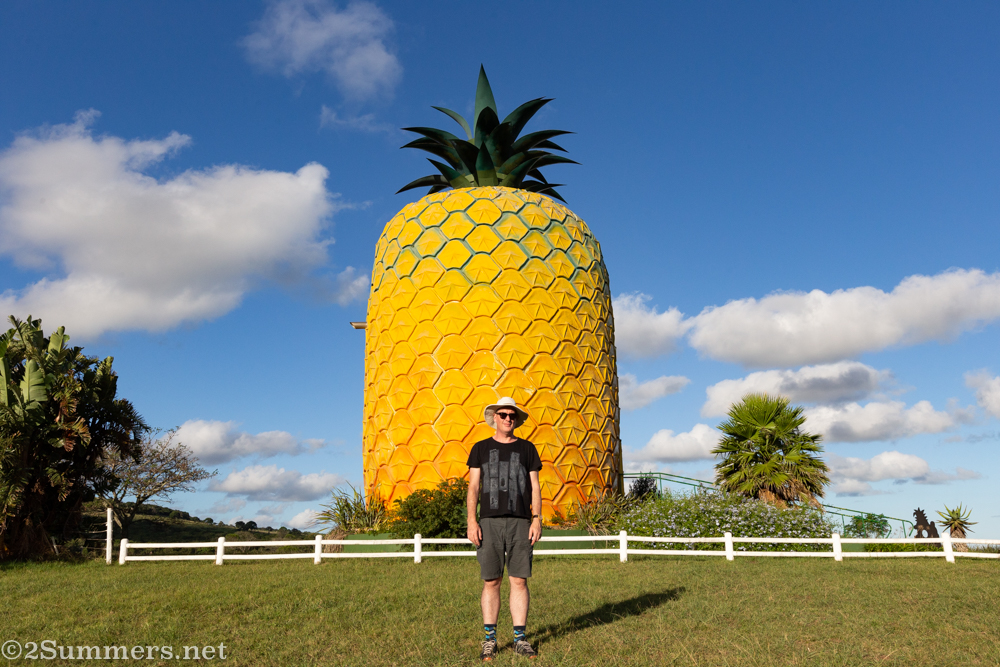 Thorsten at the Pineapple