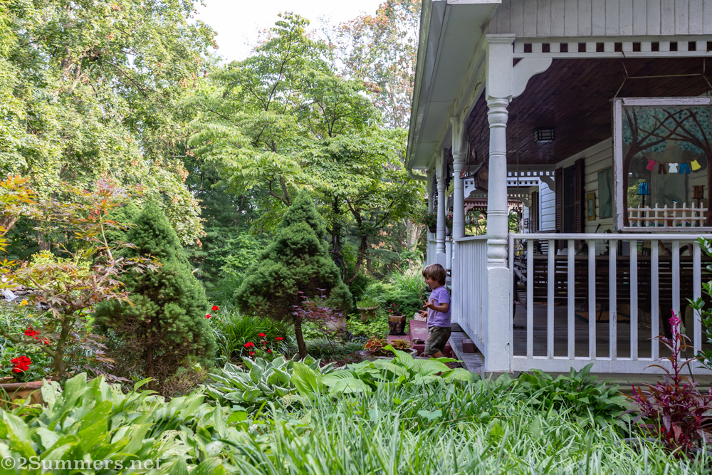 Another look at Dad’s garden