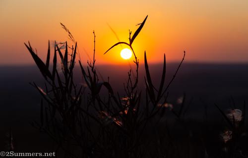 Hiking at Farmhouse@58 in the Cradle of Humankind