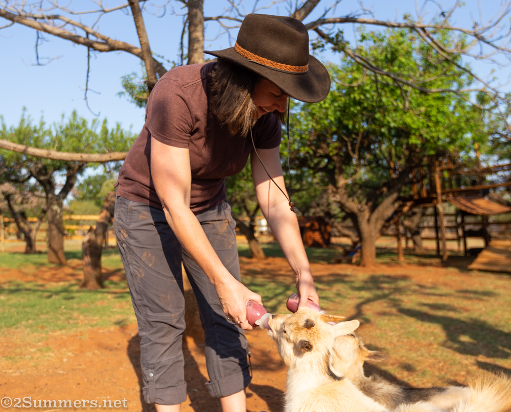 Heather feeding goats