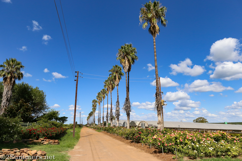 Road into Ludwig’s