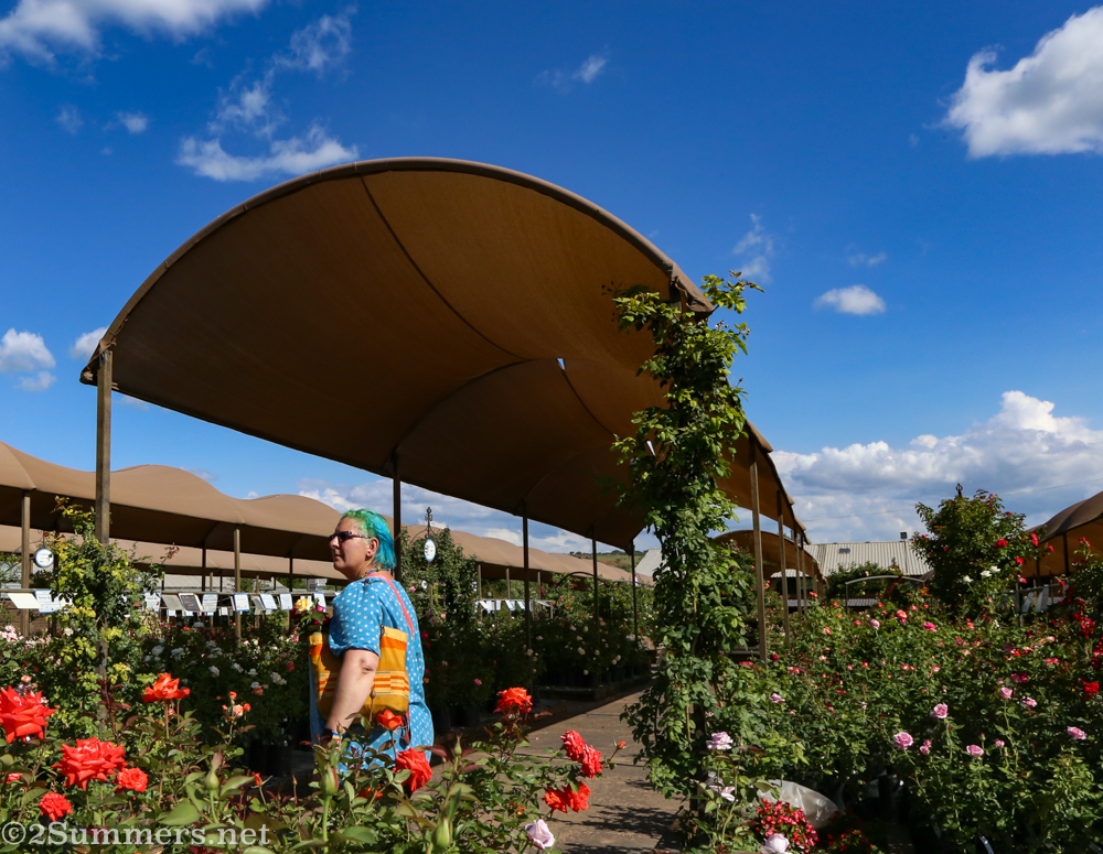Wandering the nursery