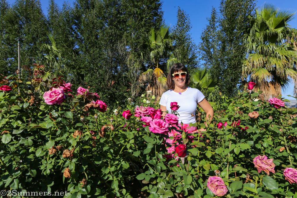 Heather at Ludwig’s