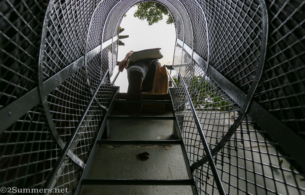 Thorsten climbing the ladder at JFF Rooftop