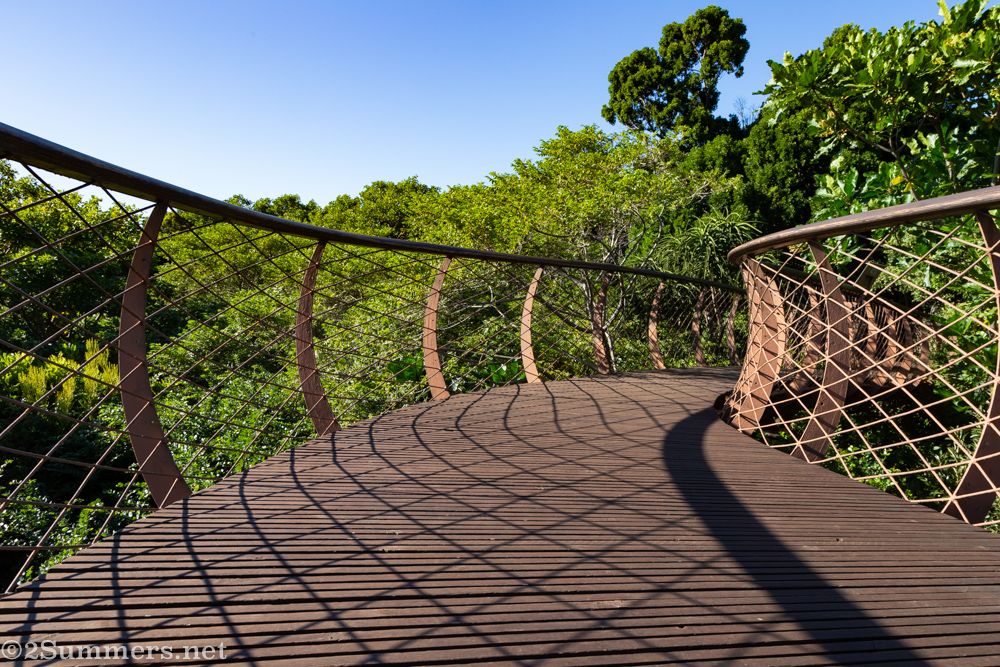Boomslang walkway from lower down