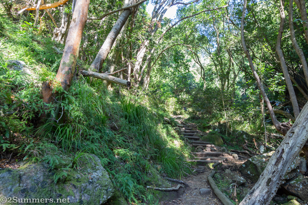 Skeleton Gorge trail