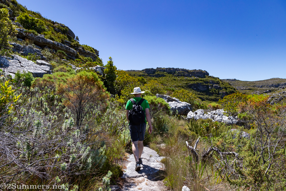 Hiking through the fynbos