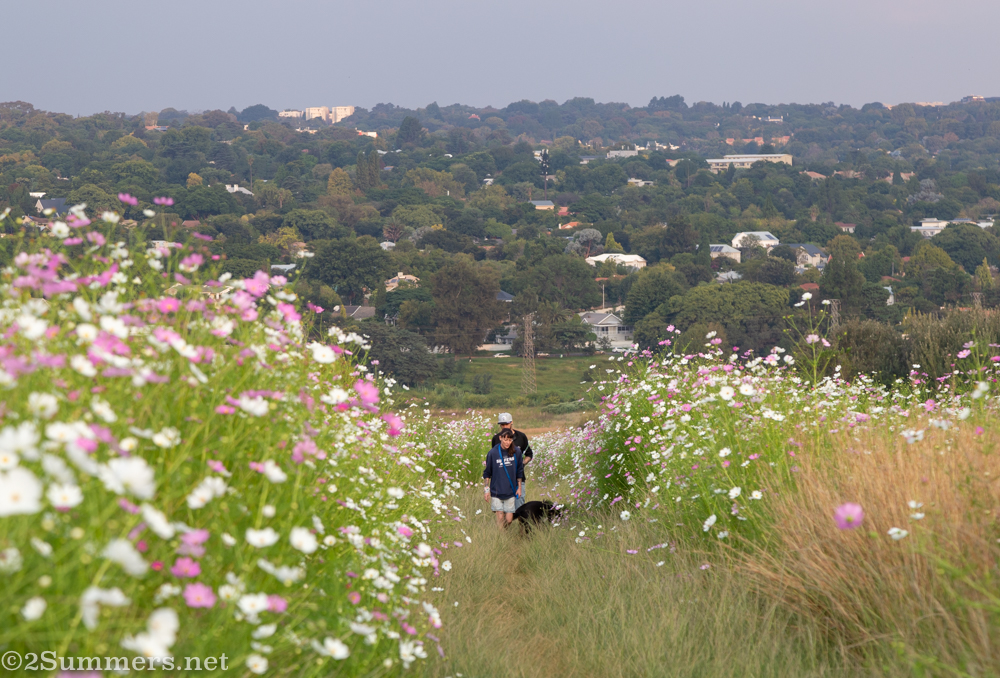 People walking in cosmos