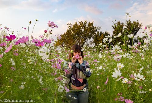 Heather in the cosmos at Delta Park