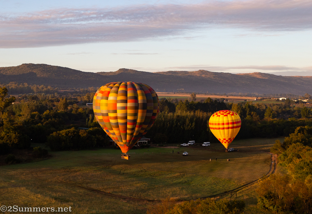 Balloons taking off