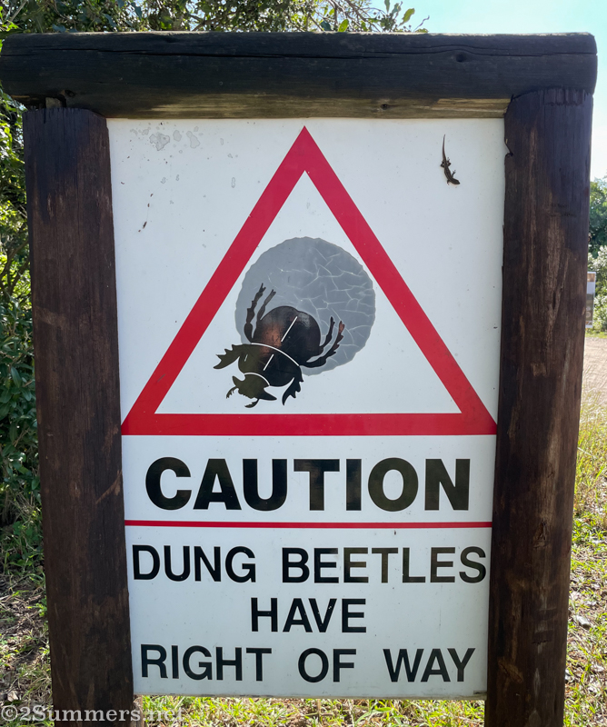Dung beetle sign at Tembe
