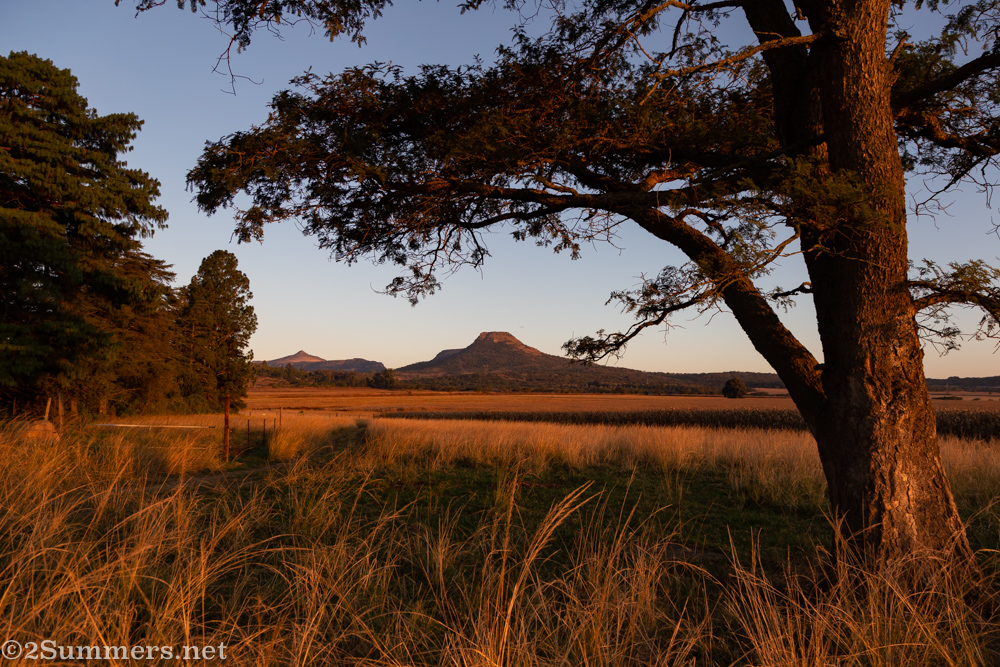 Sunset at Sneezewood
