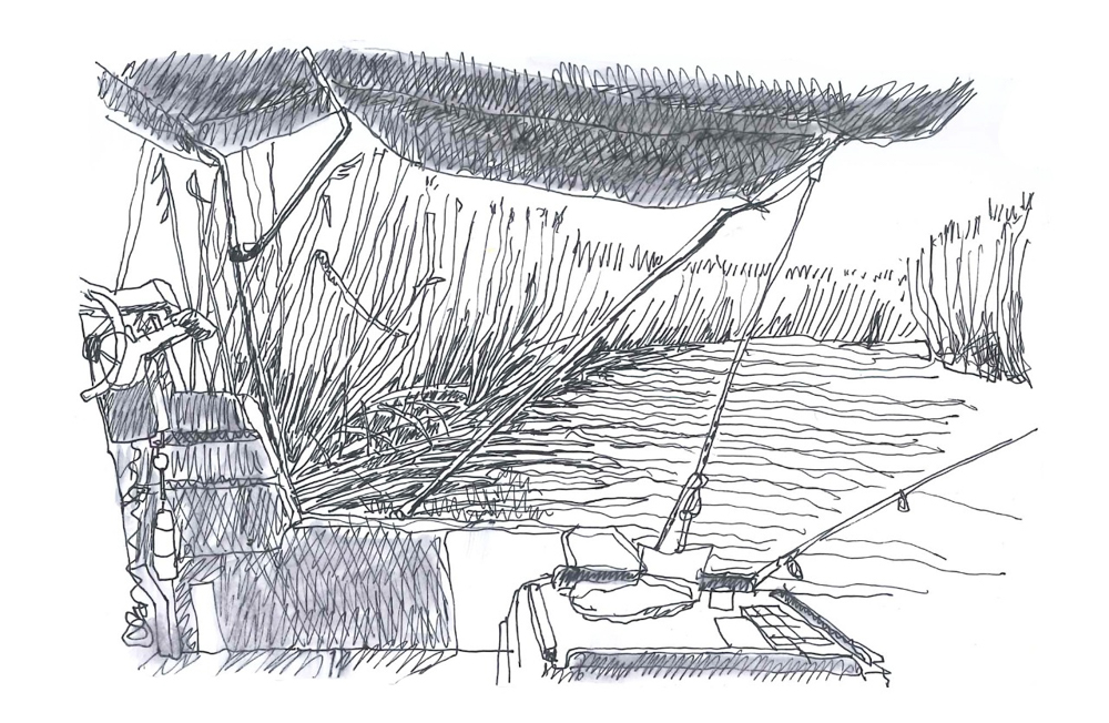 Chilling in the reeds near Sasolberg