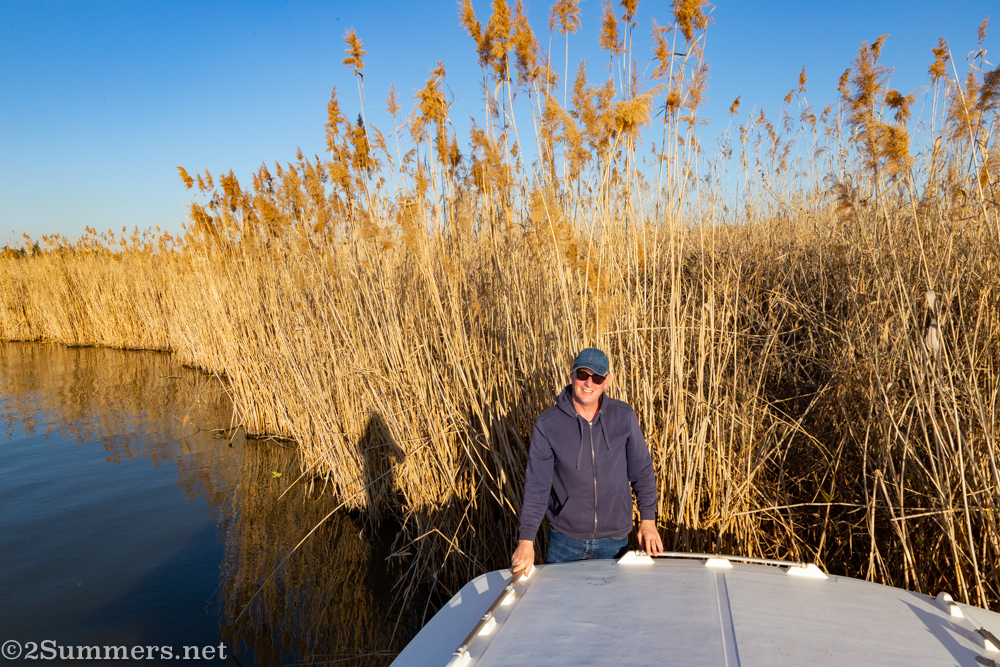 Thorsten in the reeds