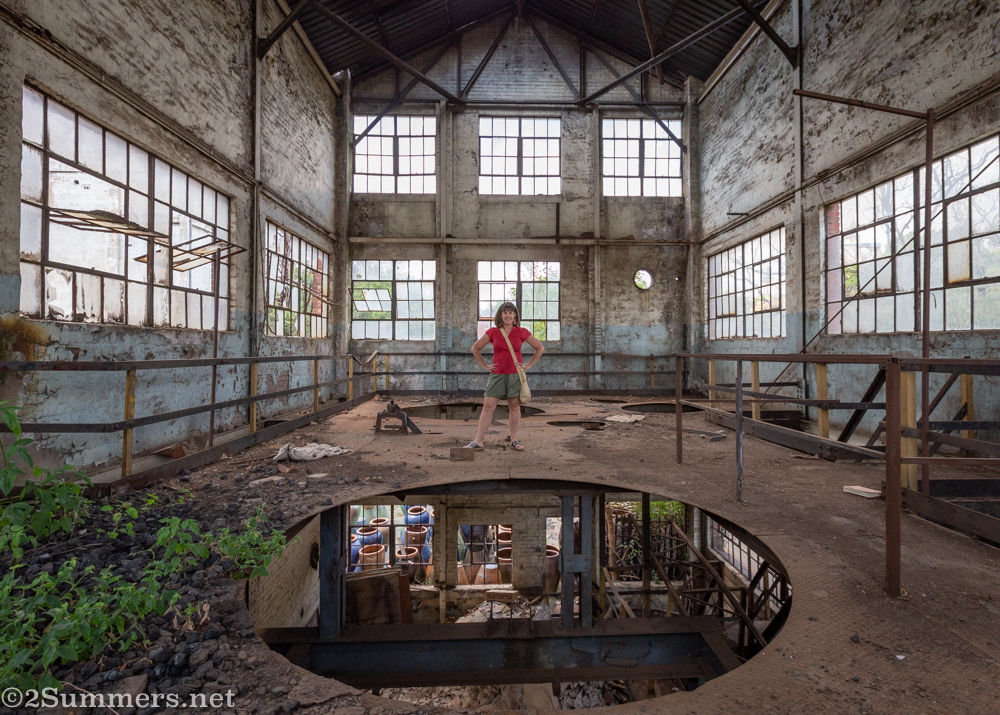 Heather in the Johannesburg Gas Works