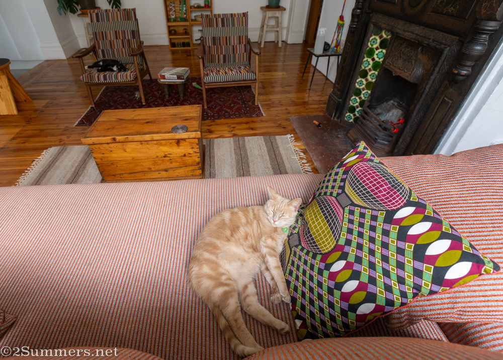 Trixie and Brixie in the lounge