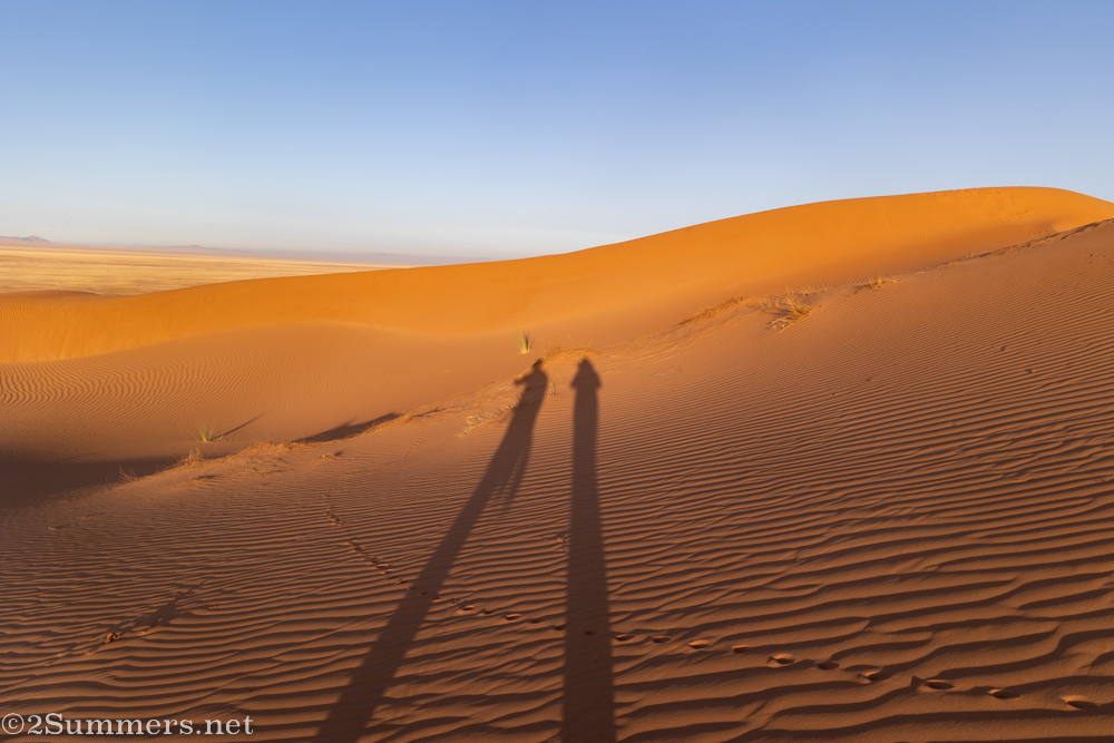 Shadows over Koichab