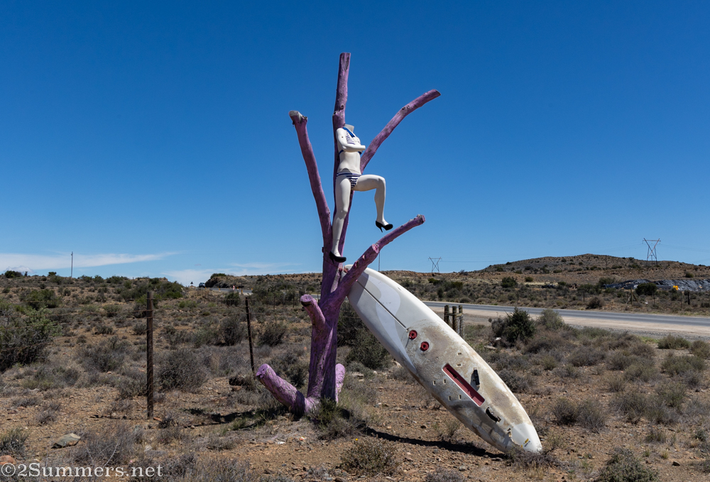 Karoo art