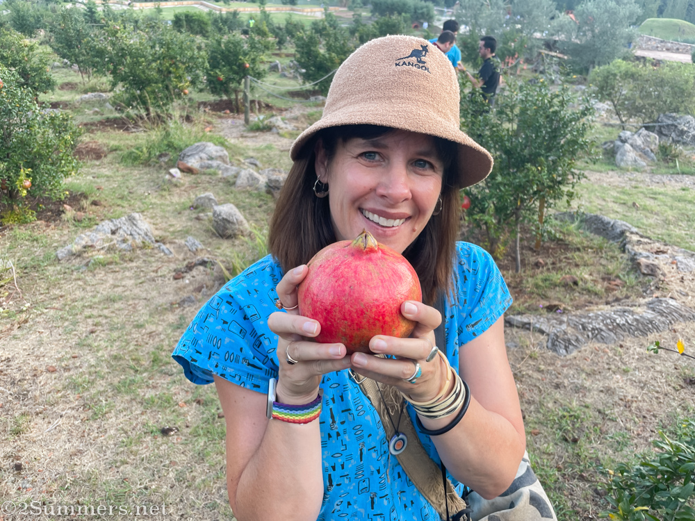 Heather picking pomegranates