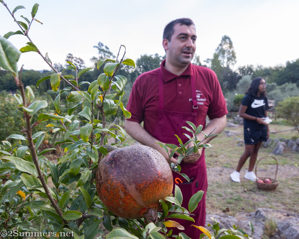 Hussein explaining how pomegranates are farmed