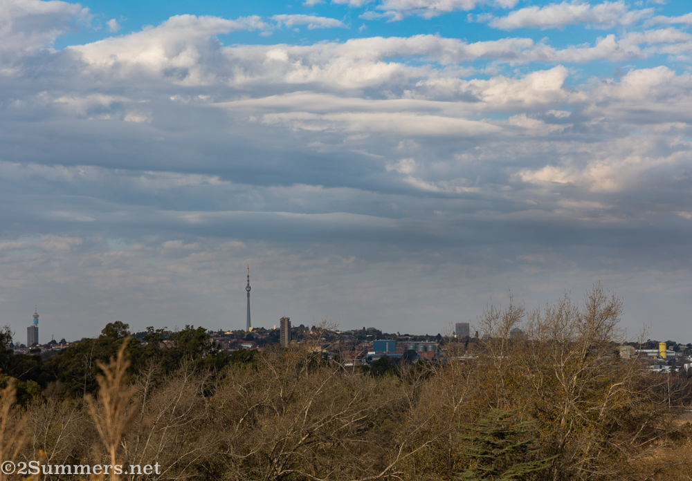 View of the Brixton Tower from Maraisburg