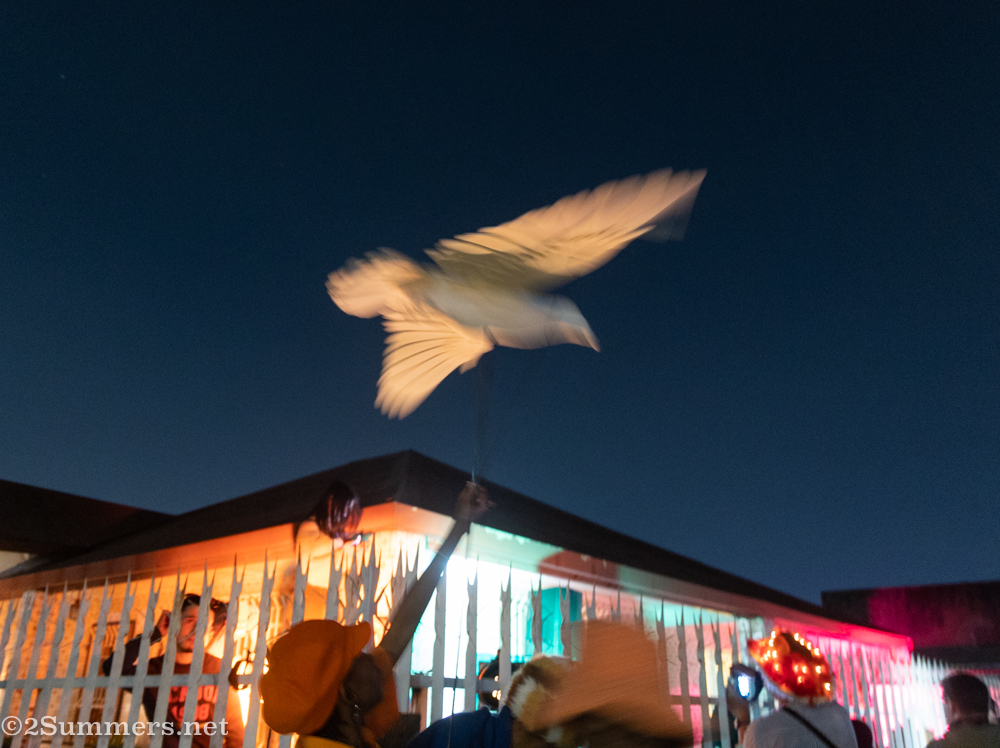Blurry photo of dove puppet at the Brixton Light Festival