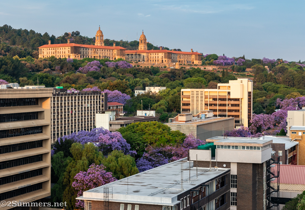 the Union Buildings and jacarandas