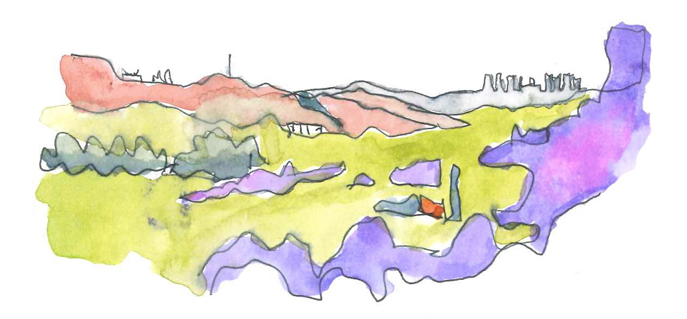 Thorsten jacaranda sketch