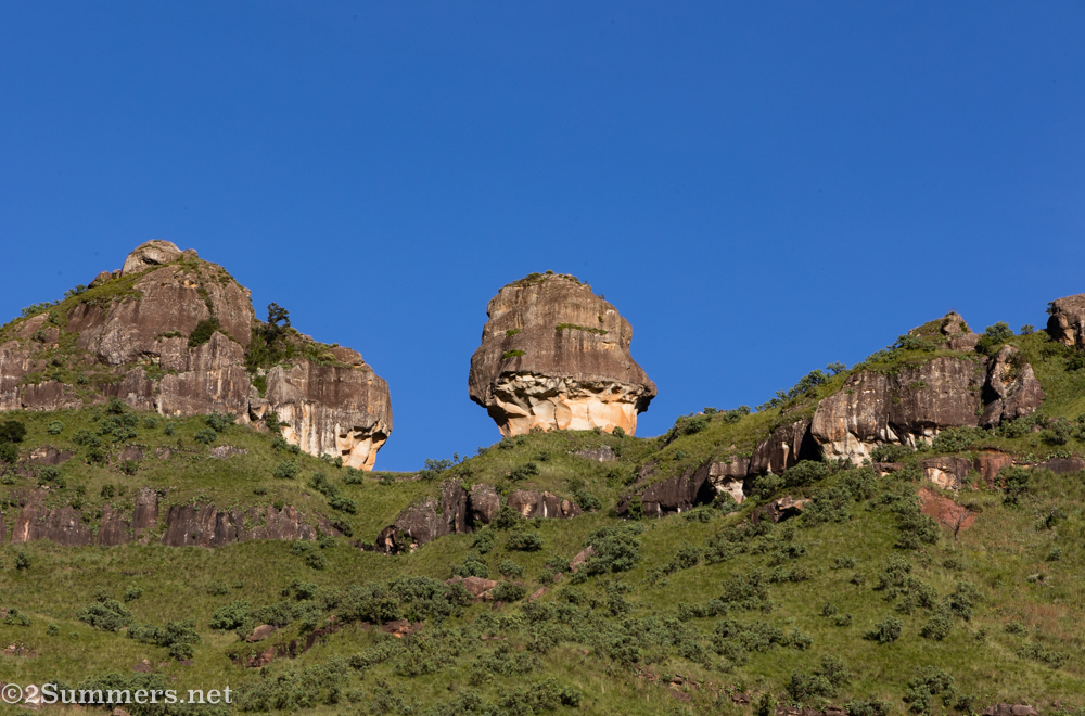 Policeman’s Helmet on the Tugela Gorge hike