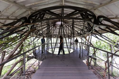 Malapa fossil site viewing platform